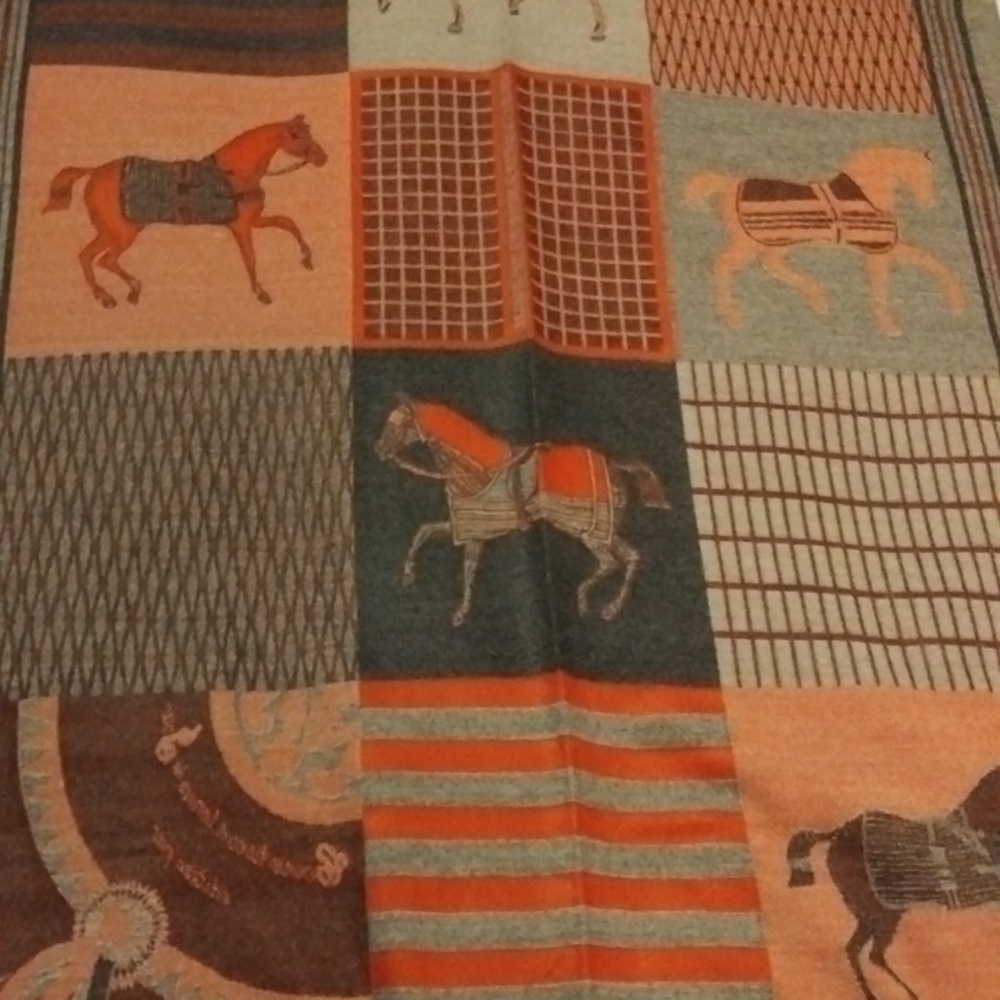 Elegant Cashmere Shawl - Picture 13 of 15